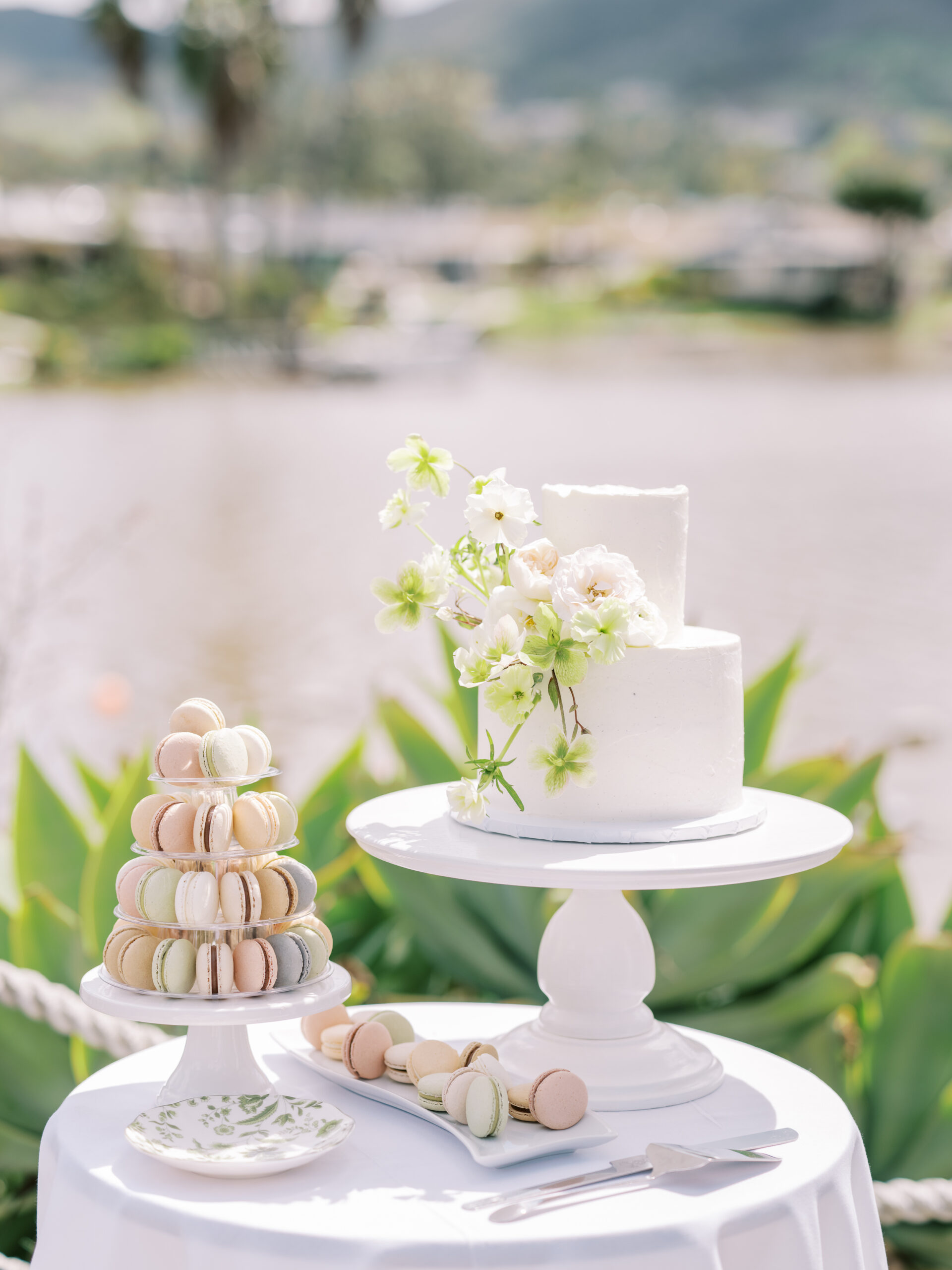 Wedding Cake and Macarons