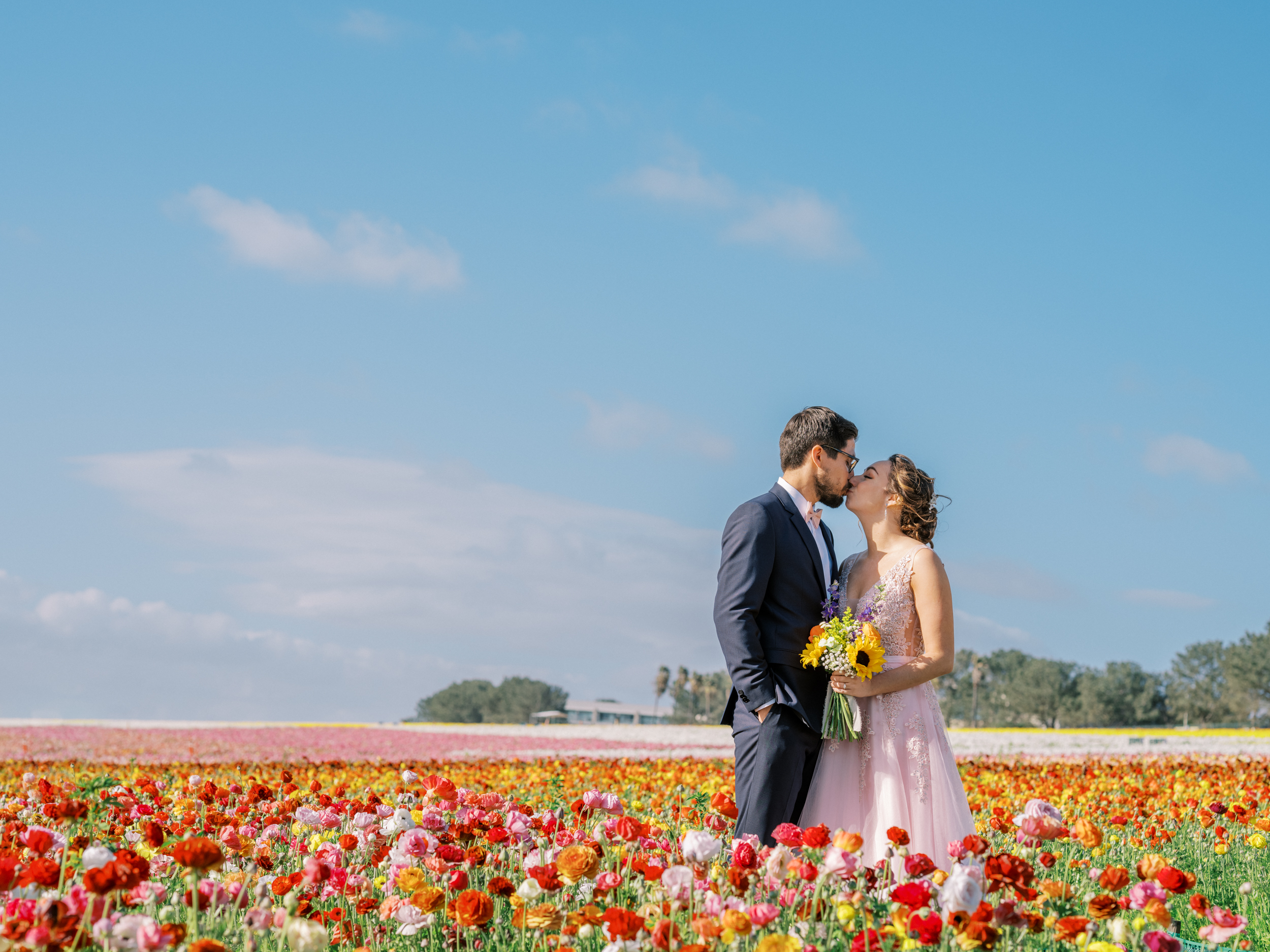 flower fields carlsbad wedding