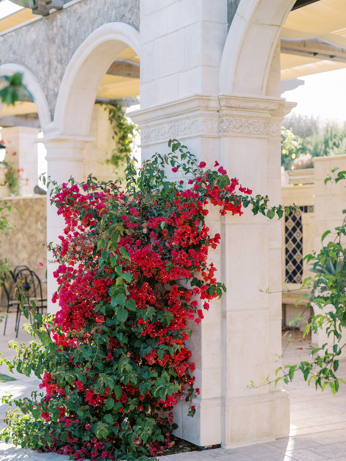 Classic wine country wedding in Temecula