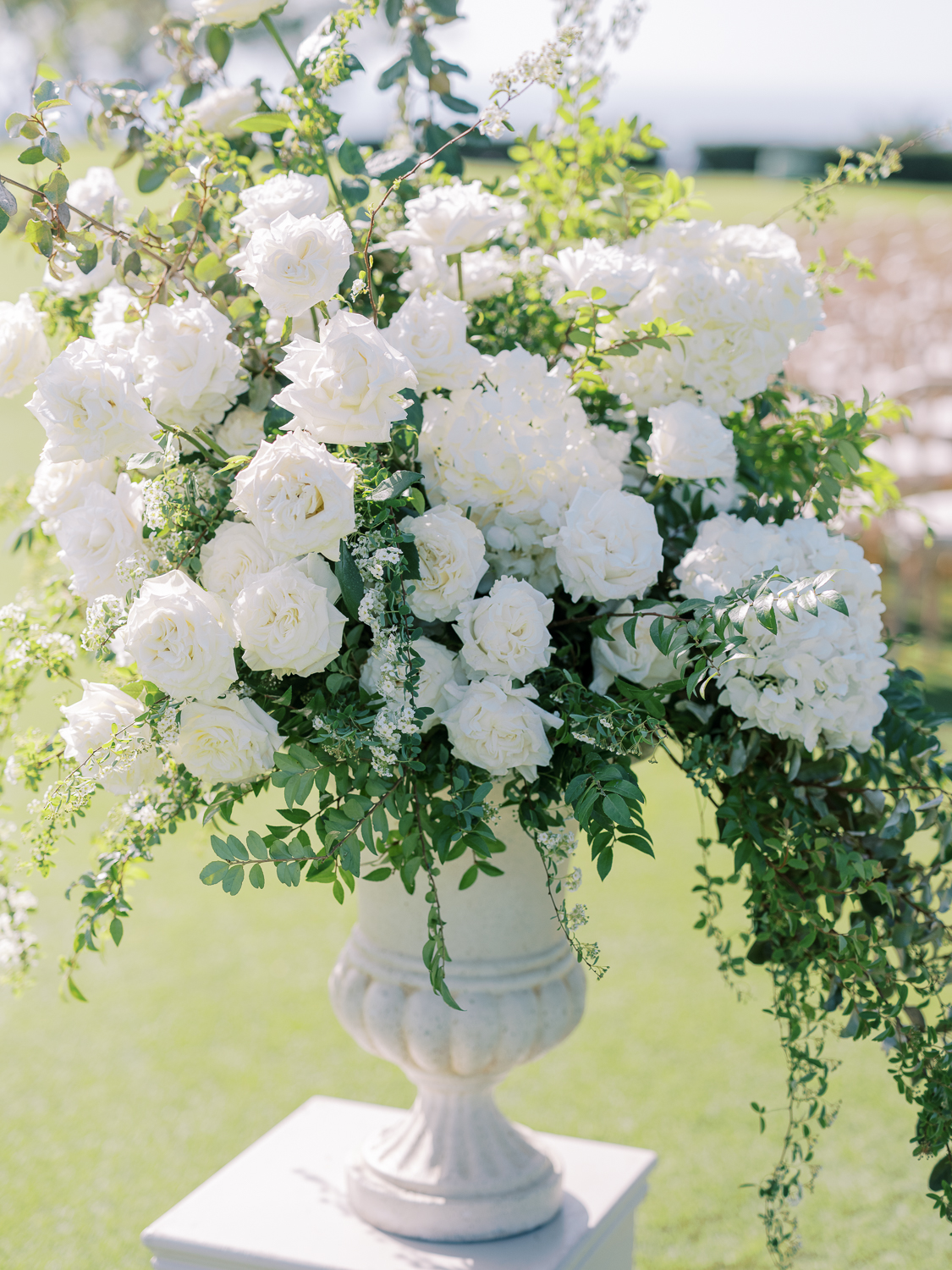 Ethereal white garden roses on pedestals at La Jolla Country Club